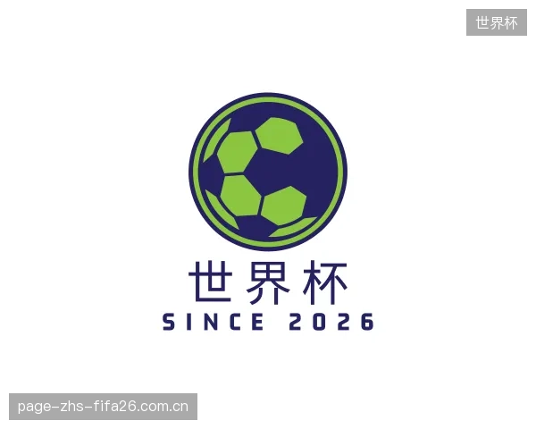 介绍世界杯公司